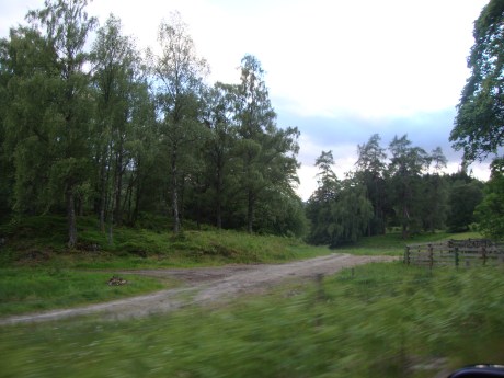 The Journey onto your path of healing and evolving begins with your decision